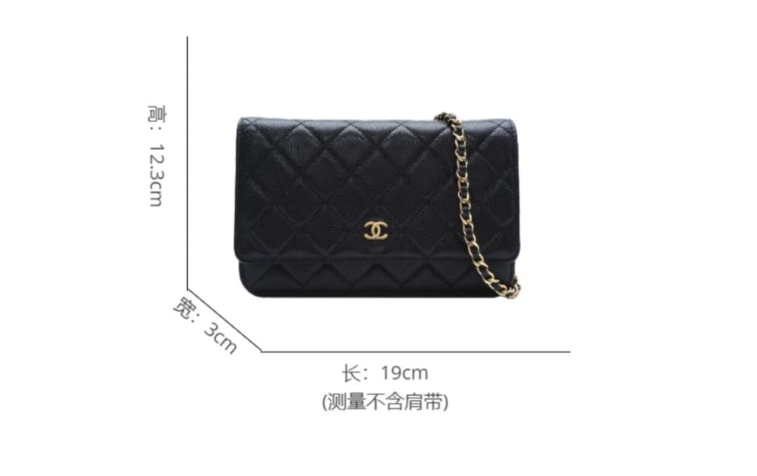 CHANEL Black Ladies Purse