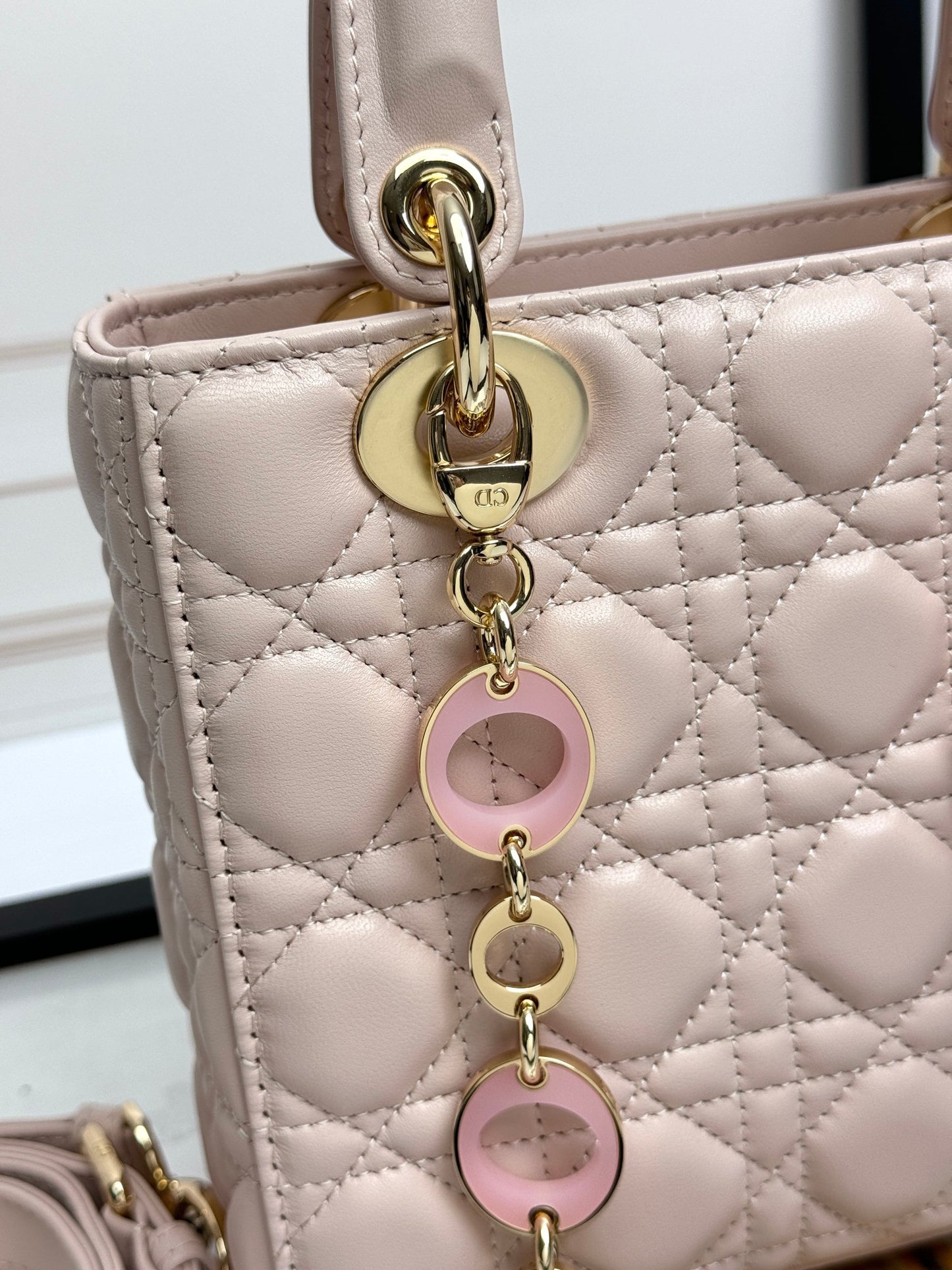 Christian Dior Ladies Bag