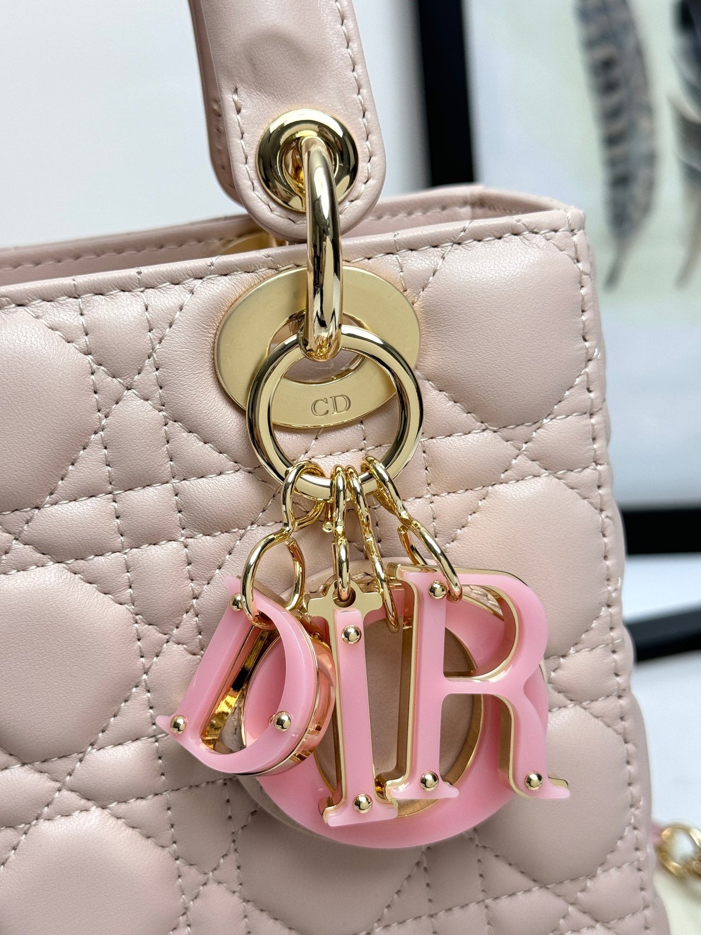 Christian Dior Ladies Bag