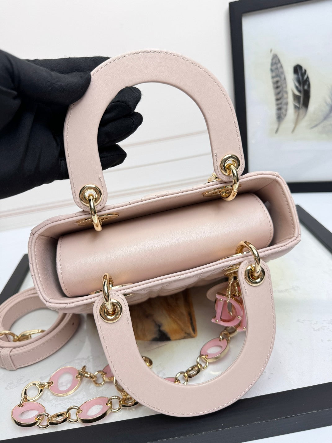 Christian Dior Ladies Bag